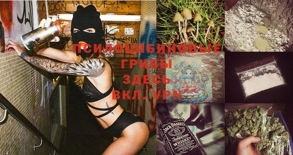 мяу мяу мука Дмитров