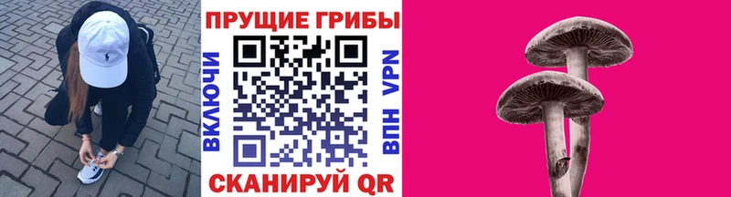 продажа наркотиков  Красноуфимск  Псилоцибиновые грибы мухоморы 